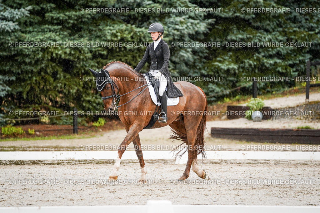 DSC09304 | Pferdegrafie