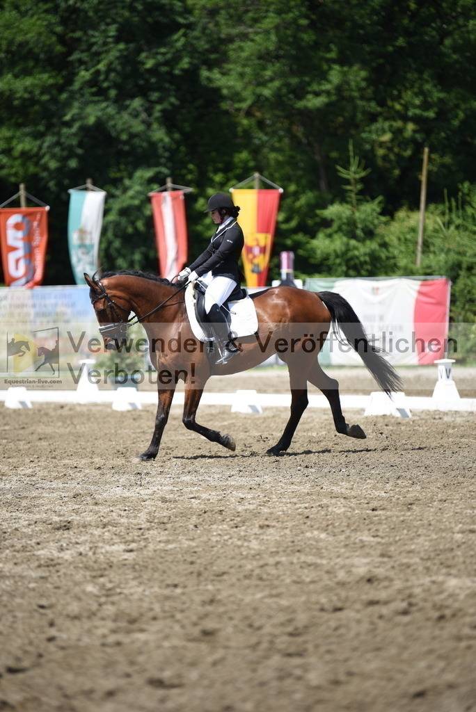 DSC_0440 | equestrian-live-com