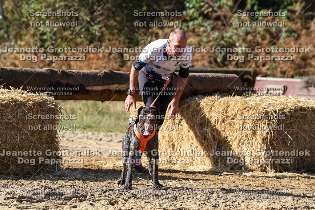 Dog Paparazzi - Strongdog 10-25-2929 | Dog Paparazzi Jeanette Grottendiek Fotografie & Videografie - Realisiert mit Pictrs.com