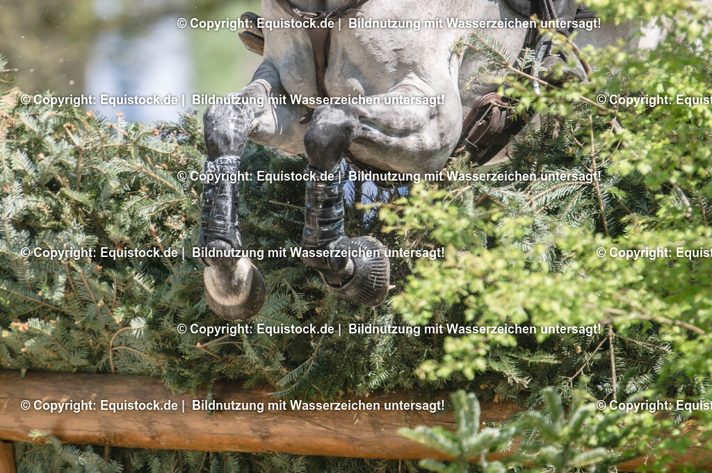 20240511_Impressionen_0104 | Foto: Thomas Hartig