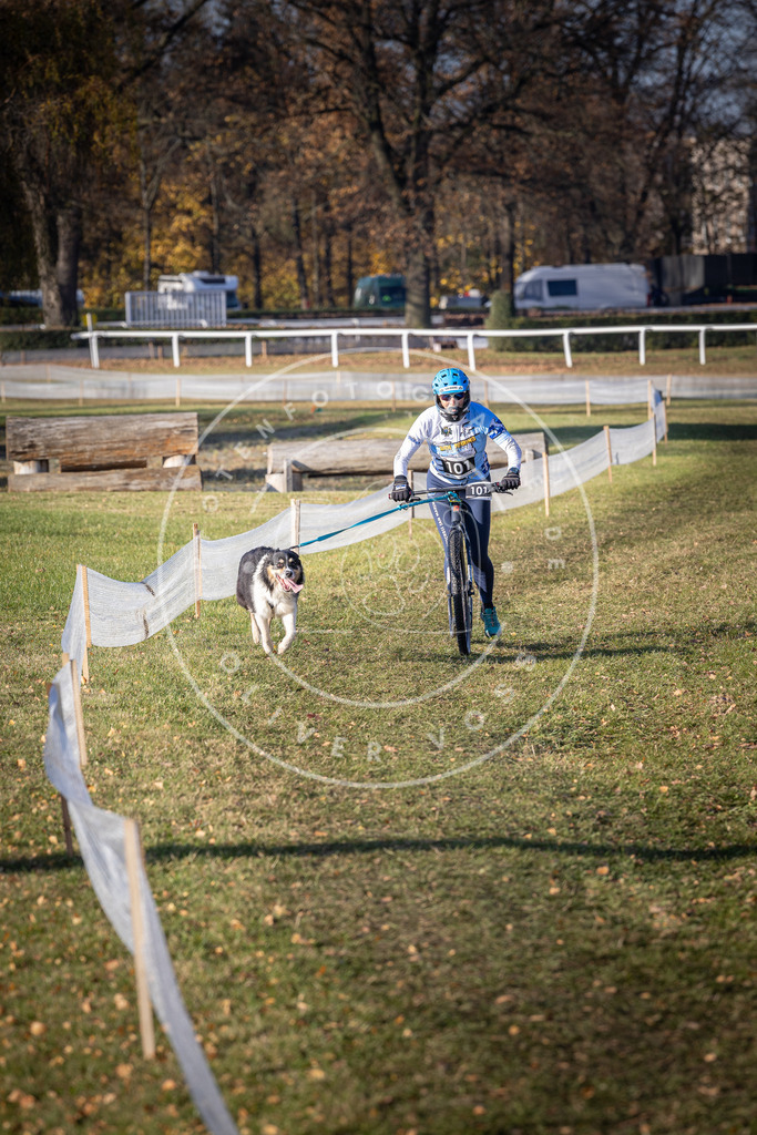 CaniXpix_DV3A2212 | Hundefotografie, Tierfotograf, Pfotenfotografie, Fotoshooting Hund, Hunde Portrait, Hundesport, Hundeportraits, Heideshooting, Hunde, Sportfotograf, Hundefotograf, Turnierhundsport, THS,  - Realisiert mit Pictrs.com