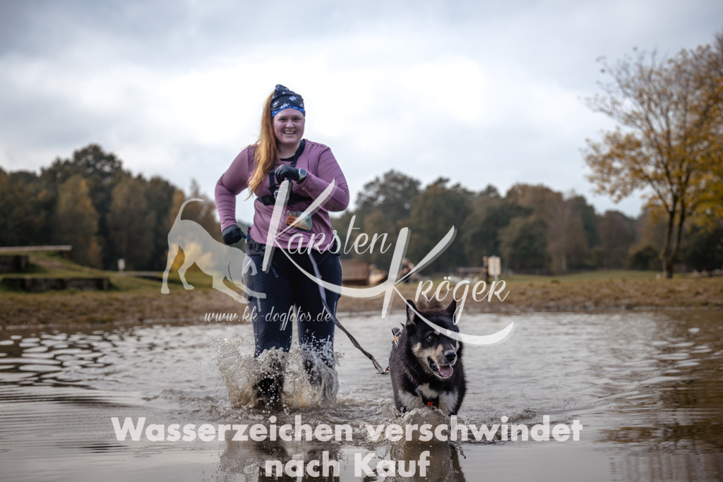 1339_ZZ94458 | kk-dogfotos