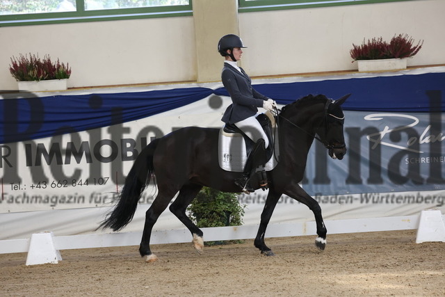 Ising_2025_Prfg.Nr.20_Pony-Dressurprfg.Kl.L_Kür_Emilia Arenz_Püppi de Luxe 2 (6) | Alle Fotos der Reiterjournal Fotografin Doris Matthaes im Reiterjournal Online-Fotoshop. - Realisiert mit Pictrs.com