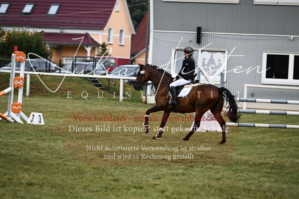 DSC_5440 | Pferde- und Turnierfotografie in Westsachsen. Pferdeportraits, Auftragszeichnungen und intuitive Kunst.