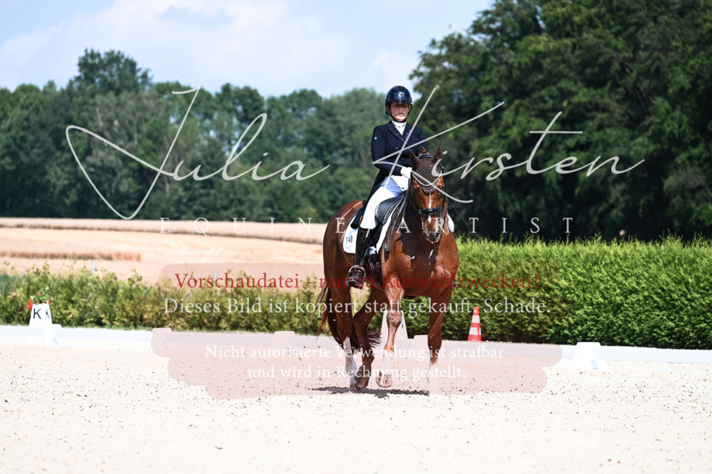DSC_2848 | Pferde- und Turnierfotografie in Westsachsen. Pferdeportraits, Auftragszeichnungen und intuitive Kunst.