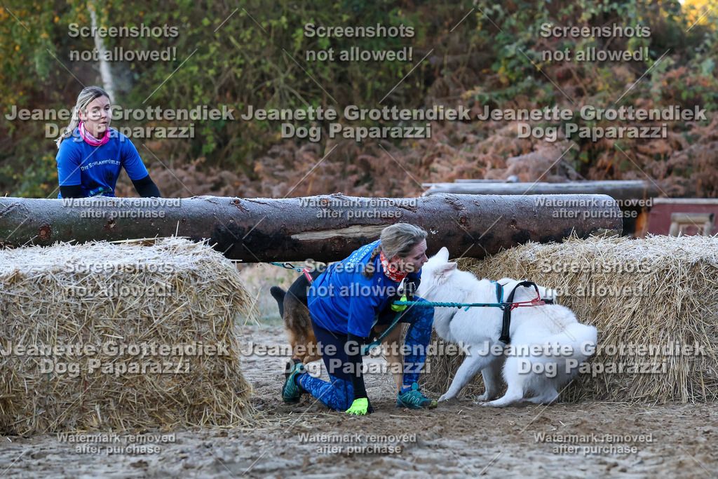 Dog Paparazzi - Strongdog 10-25-334 | Dog Paparazzi Jeanette Grottendiek Fotografie & Videografie - Realisiert mit Pictrs.com