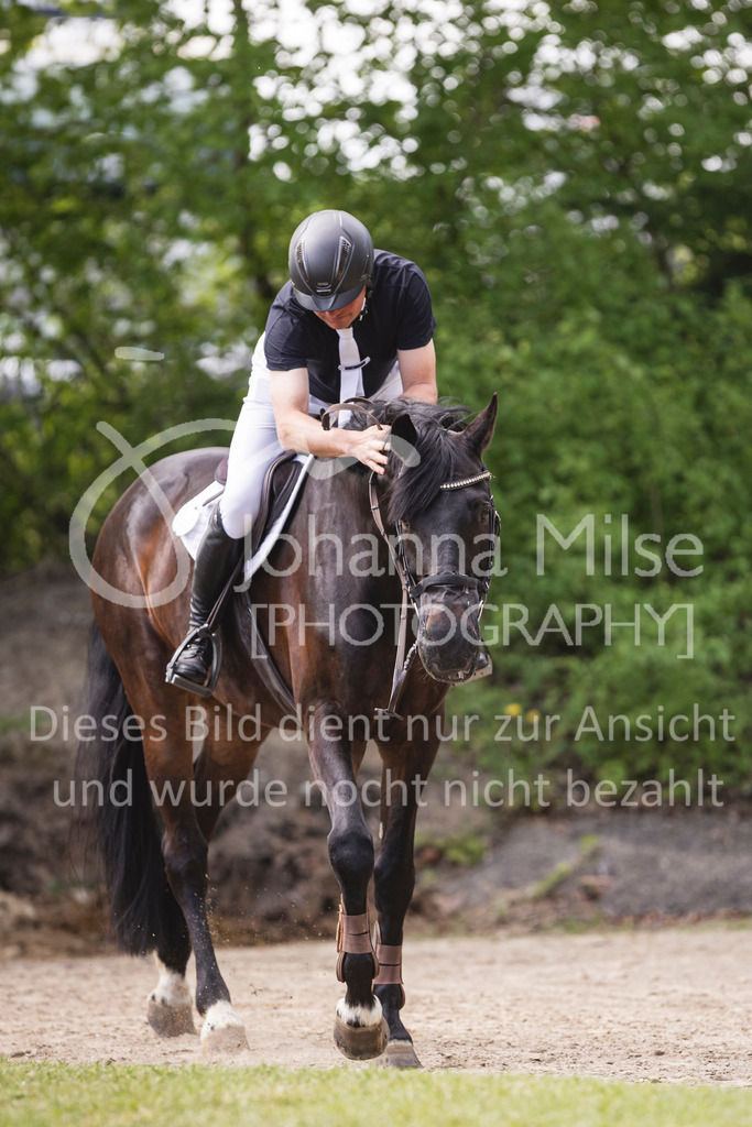 260503_Spenge_7_M2-Spr-m-steig-Anf-702 | Deine schönsten Turniermomente als professionelle Fotos! Entdecke hochwertige Pferdesport-Fotografie im Online-Shop. Jetzt Fotos finden & bestellen!