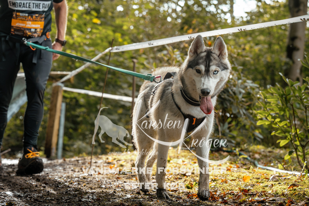 1456DZ6_3947Z6 | kk-dogfotos