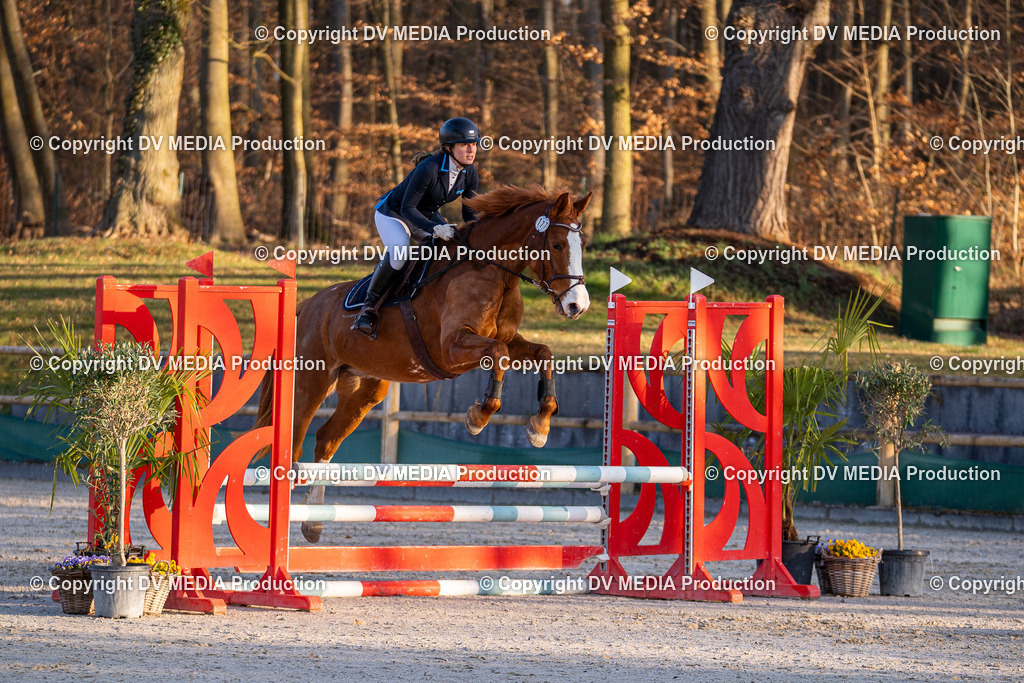 DSC-216 | dv-media-shop - Realisiert mit Pictrs.com