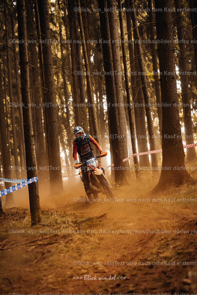 E68A4737 | blick_win_kel