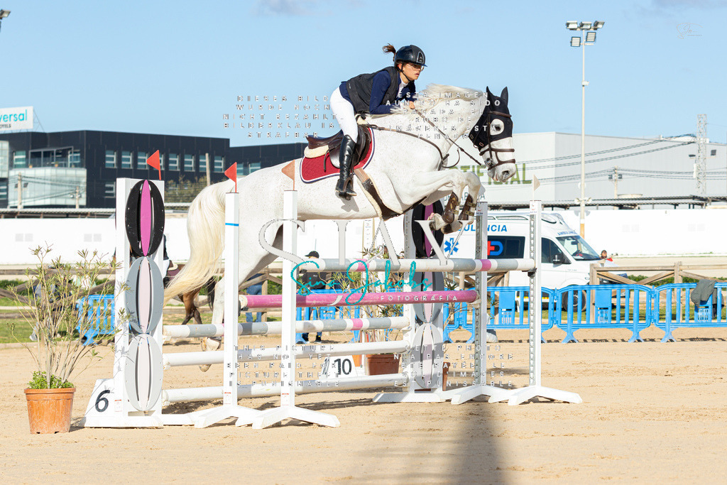 IMG_1639 | s-jay-photography - Realisiert mit Pictrs.com