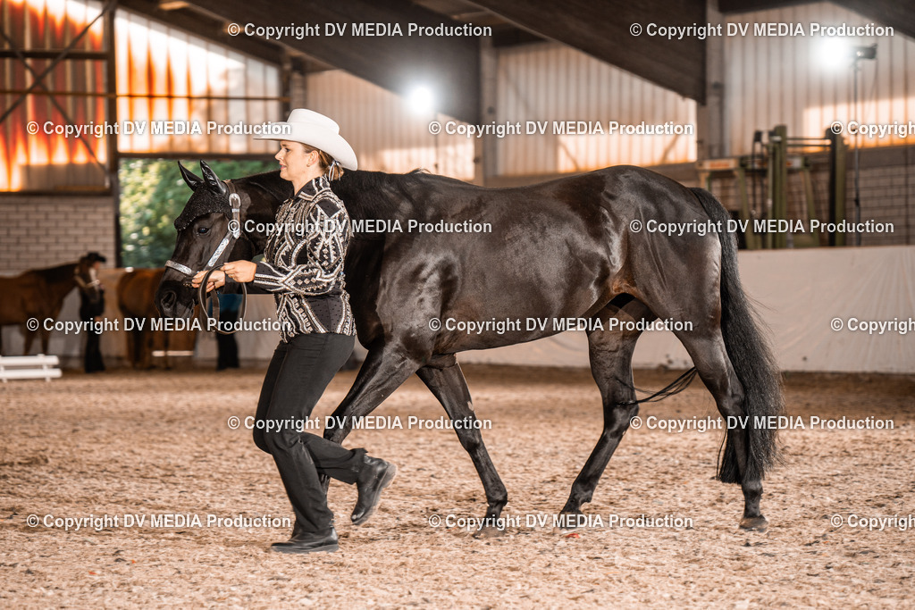 ZH100118 | dv-media-shop - Realisiert mit Pictrs.com