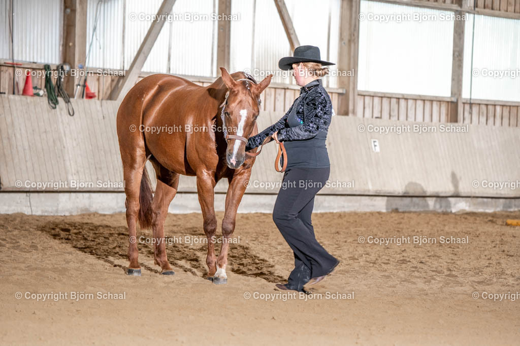 SAL00893 | BS-foto