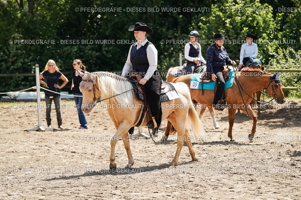 DSC06847 | Pferdegrafie