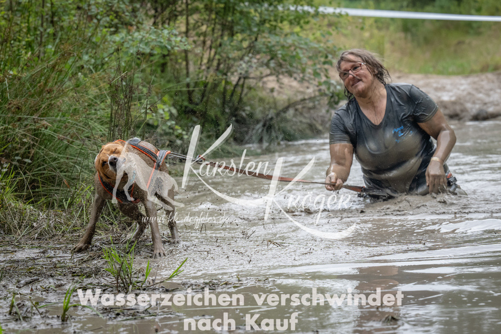 1331_ZZ90389 | kk-dogfotos