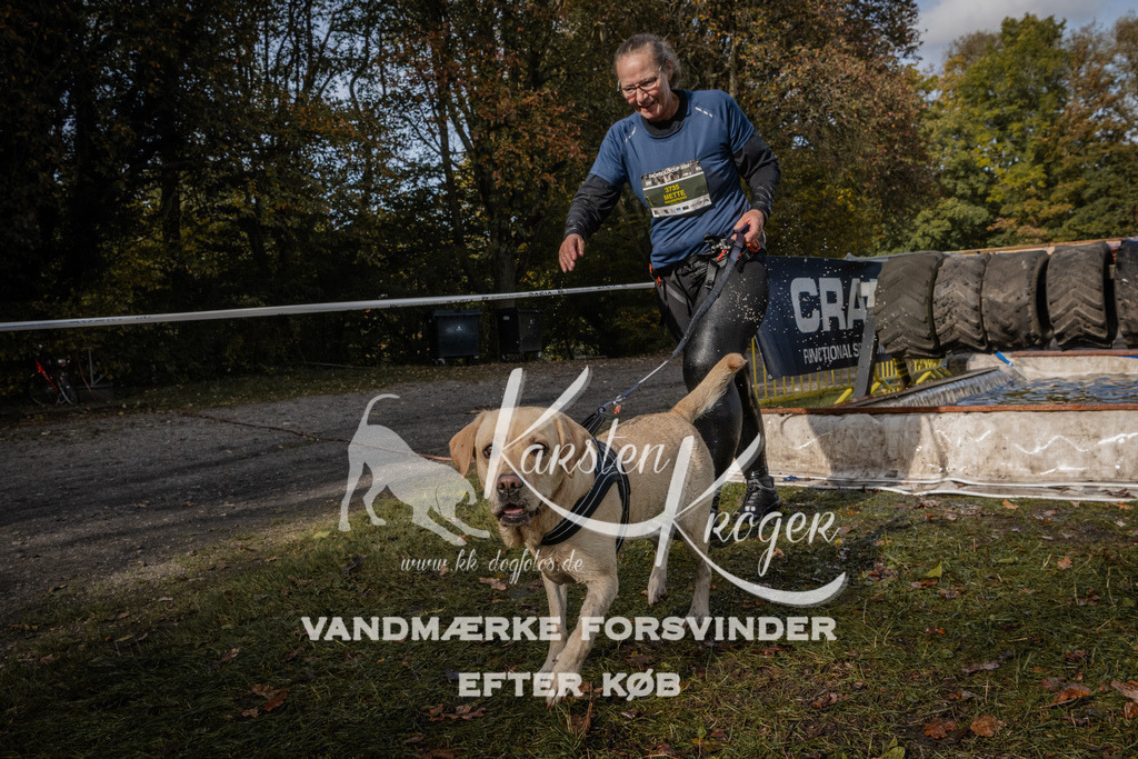 1401_ZZ93831 | kk-dogfotos