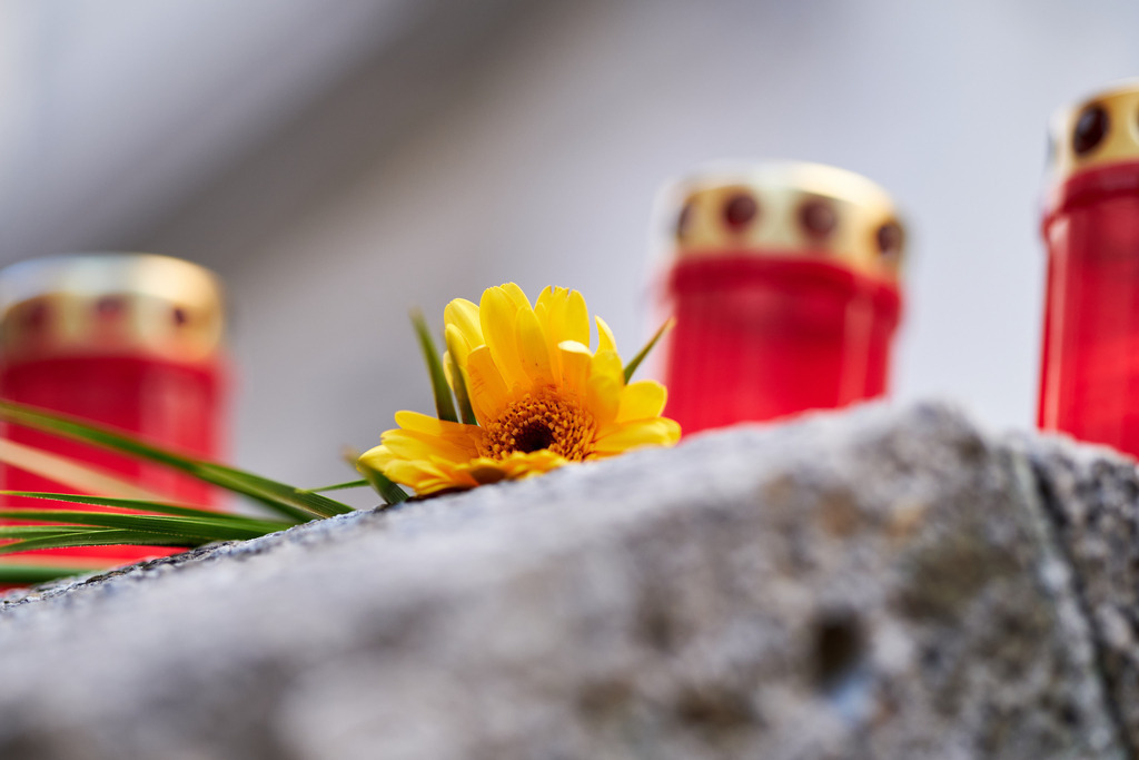 Blumen und Kerzen an der Jerusalemstige | Wien, Austria - November 06, 2020: Gedenken an den Terroranschlag vom 02.11.2020, Blumen und Kerzen an der Jerusalemstiege. - Realisiert mit Pictrs.com