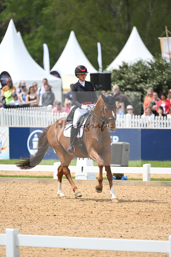 Baer_Superstar_11233770 | hf-fotografie - Realisiert mit Pictrs.com