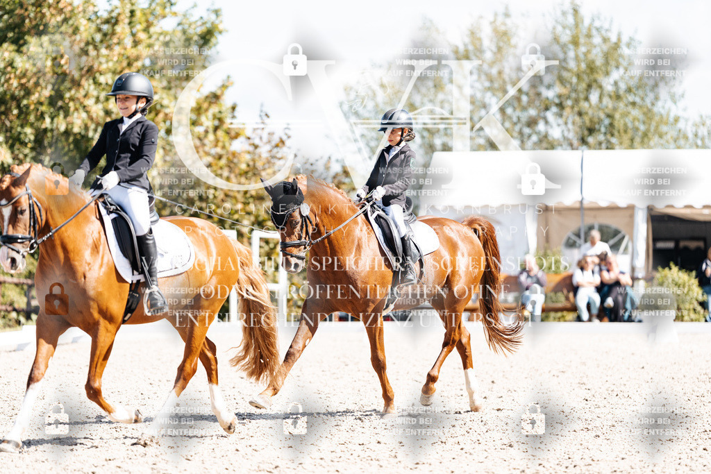 CK903049 | Turnierfotografie Pferdefotografie Trier Rheinland-Pfalz Pferdesport Reitsport Tierfotografie Sportfotografie Pferdevideo Pferdevideografie Equestrianvideography equestrianphotography  - Realisiert mit Pictrs.com