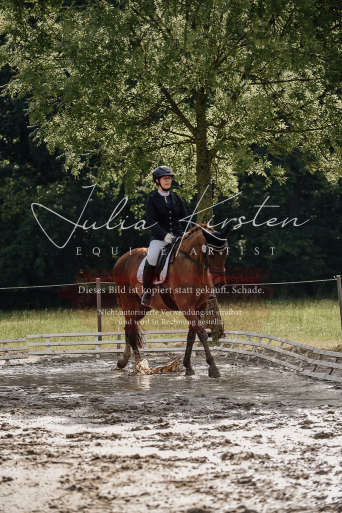 DSC_8877 | Pferde- und Turnierfotografie in Westsachsen. Pferdeportraits, Auftragszeichnungen und intuitive Kunst.