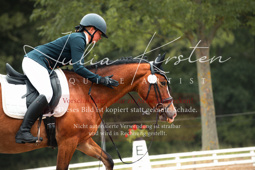DSC_9860 | Pferde- und Turnierfotografie in Westsachsen. Pferdeportraits, Auftragszeichnungen und intuitive Kunst.