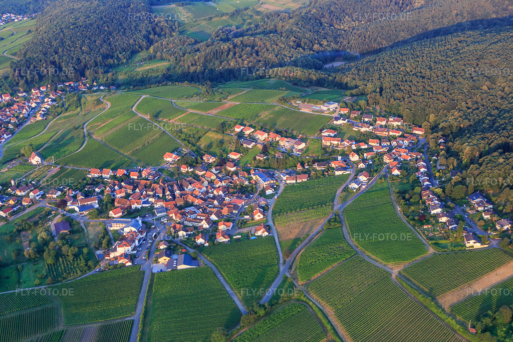 Luftbild: Winzerdorfansicht von Norden im Ortsteil Gleiszellen in Gleiszellen-Gleishorbach im Bundesland Rheinland-Pfalz in Deutschland. Foto: IMG_091836.jpg vom 16.07.2016 durch Werner Riehm/FLY-FOTO.de