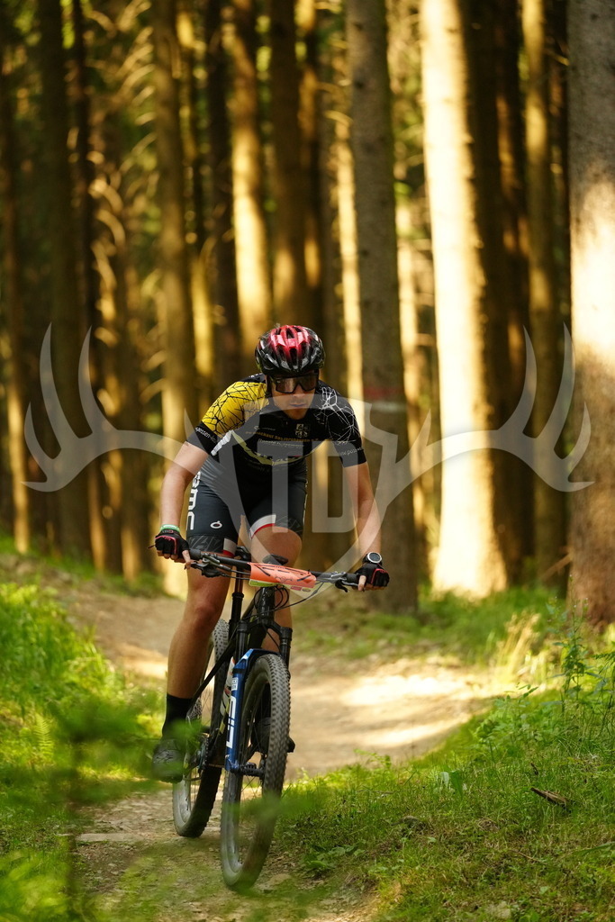 FC102831 | Fotogalerie der Treibjagd im Dunkelwald - Dein MTB Etappenrennen im Erzgebirge - Realisiert mit Pictrs.com