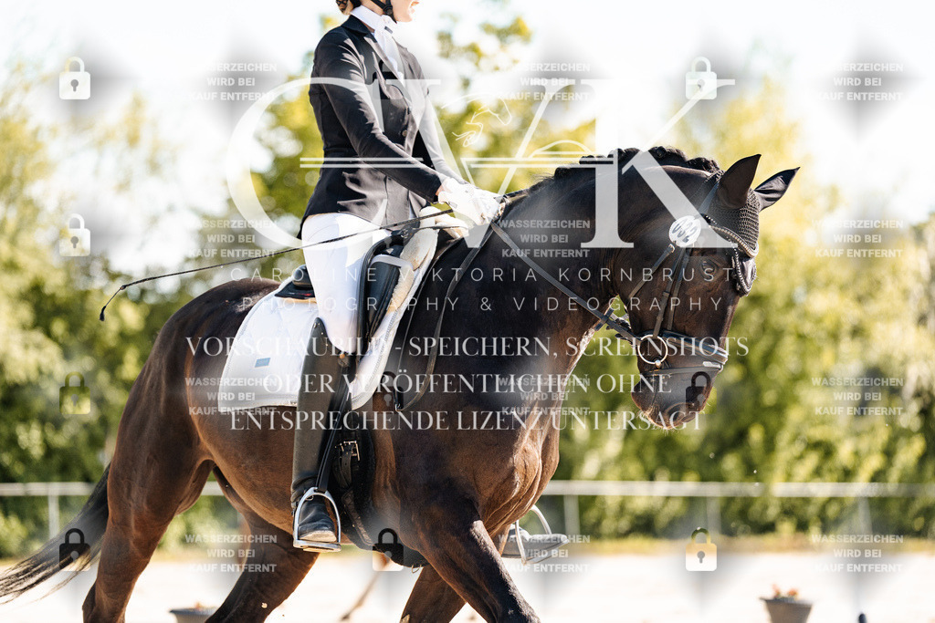 CK909253 | Turnierfotografie Pferdefotografie Trier Rheinland-Pfalz Pferdesport Reitsport Tierfotografie Sportfotografie Pferdevideo Pferdevideografie Equestrianvideography equestrianphotography  - Realisiert mit Pictrs.com