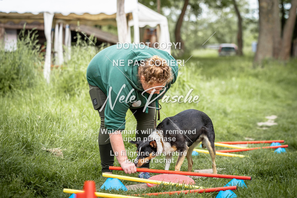 nelerasche_So-earlydog_20 | nelerasche
