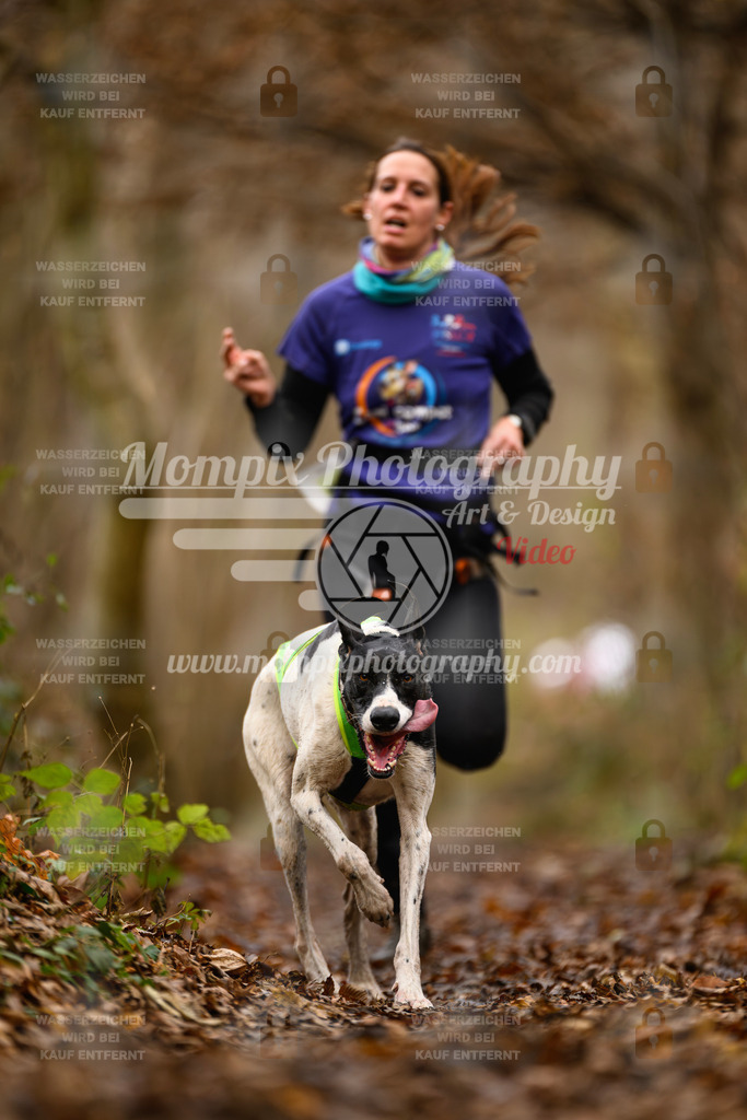 MompixPhotography_Eschau2024_CCL-42 | PayLife