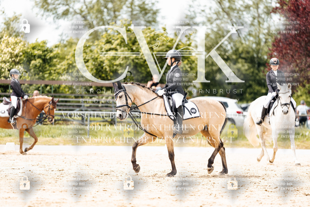 CK902460 | Turnierfotografie Pferdefotografie Trier Rheinland-Pfalz Pferdesport Reitsport Tierfotografie Sportfotografie Pferdevideo Pferdevideografie Equestrianvideography equestrianphotography  - Realisiert mit Pictrs.com