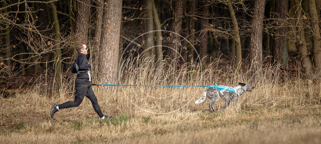 DV3A3803 | Hundefotografie, Tierfotograf, Pfotenfotografie, Fotoshooting Hund, Hunde Portrait, Hundesport, Hundeportraits, Heideshooting, Hunde, Sportfotograf, Hundefotograf, Turnierhundsport, THS,  - Realisiert mit Pictrs.com