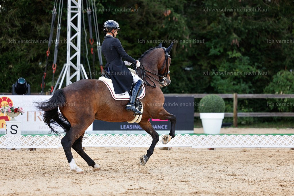 10-207-ST.GEORG SPECIAL -StoibPH-3268 | working equitationturnier fotograf videograf stoibphotography marixx film working equitation deutschland reitsport turnierfotografie eventfotografie equestrian events