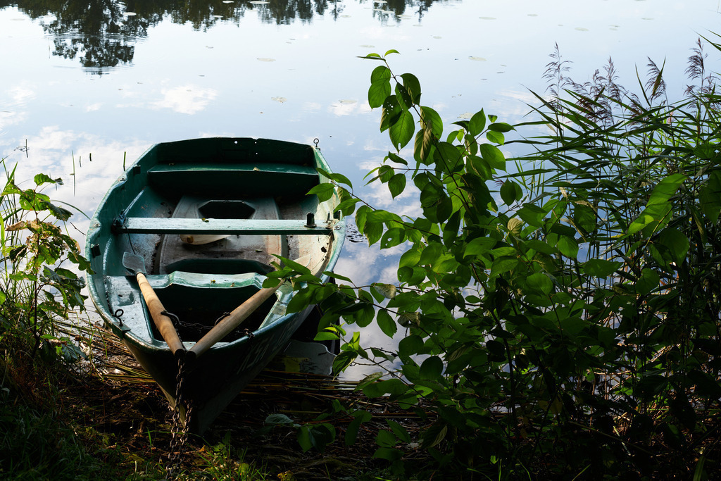 Impressionen am Puhajarve See | Otepää , Estland - August 23, 2022: Ruderboot im Schilf liegend. - Realisiert mit Pictrs.com