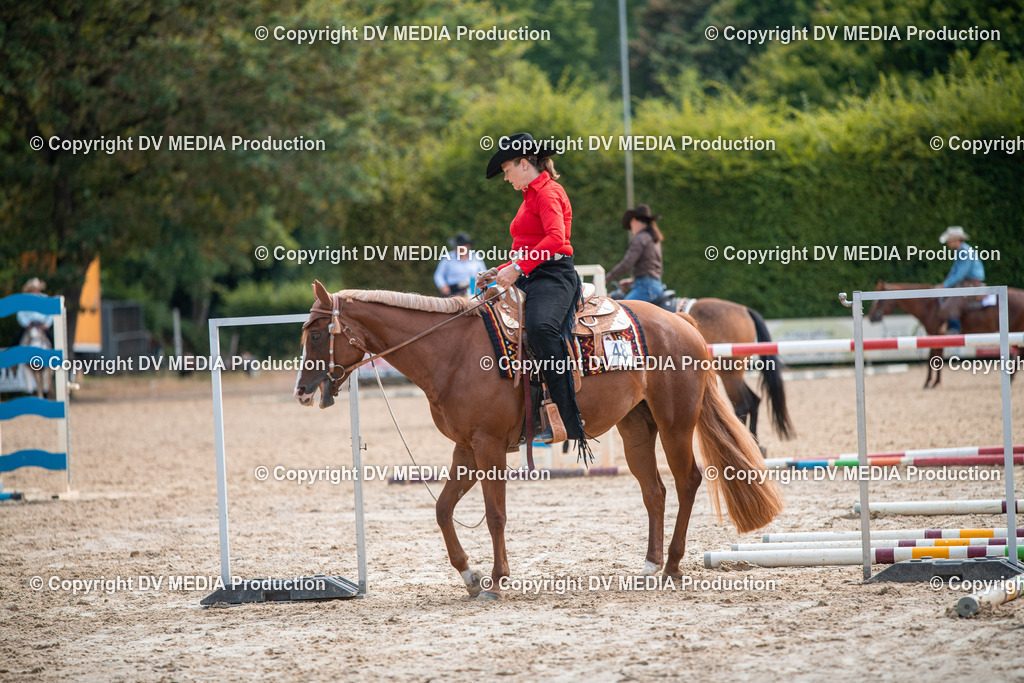 ZS3_9317 | dv-media-shop - Realisiert mit Pictrs.com