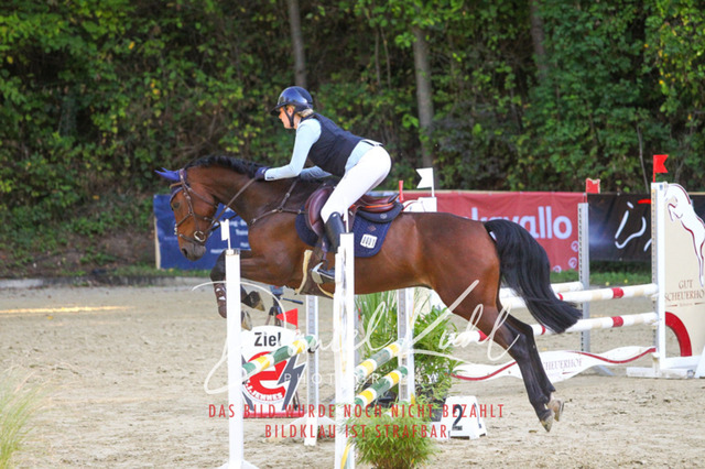 DKP42796 | Turniersportfotografie; Pferdefotografie; Dressurfotografie