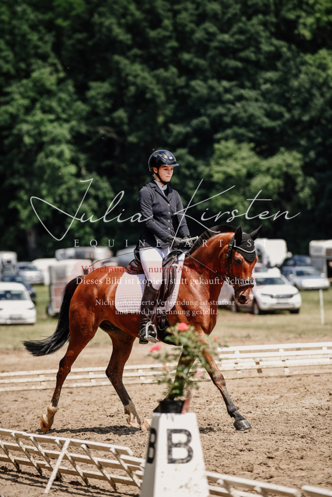 DSC_1748 | Pferde- und Turnierfotografie in Westsachsen. Pferdeportraits, Auftragszeichnungen und intuitive Kunst.