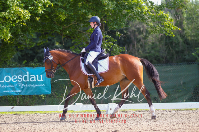 DKP42909 | Turnierfotos kaufen im Webshop von Daniel Kuhl Photography – entdecke professionelle Reitsportfotos aus Turnieren & Events. Hochwertige Turnierbilder online bestellen & sichern. Jetzt Fotos von Reitsportturnieren kaufen!