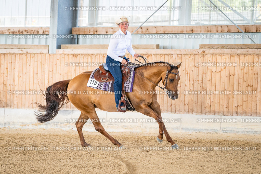 DSC02581 | Pferdegrafie