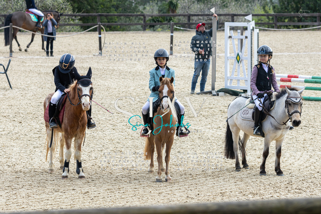 IMG_4751 | s-jay-photography - Realisiert mit Pictrs.com