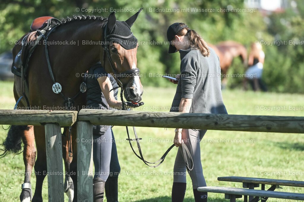 20230908_14-15_Springpferde-A_0106 | equistock