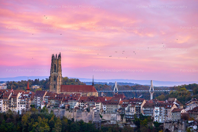 2022-10-30 Fribourg_Morning_Color 078-PRINT | Moderne Schulfotografie, Schulfotograf, Kinderportrait, Kindergarten, Schulen, Schulleitung, Onlineshop - Realisiert mit Pictrs.com