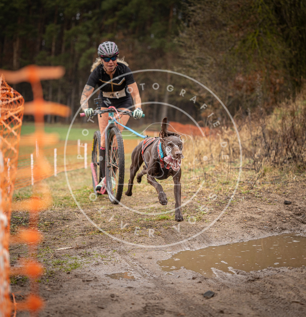 DV3A9287 | Hundefotografie, Tierfotograf, Pfotenfotografie, Fotoshooting Hund, Hunde Portrait, Hundesport, Hundeportraits, Heideshooting, Hunde, Sportfotograf, Hundefotograf, Turnierhundsport, THS,  - Realisiert mit Pictrs.com