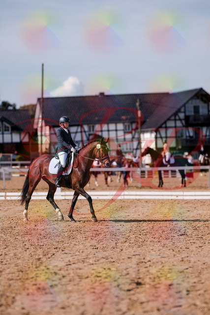 2026_10_03_Siefer-Hof_125730_Z81_45756716 | Professionelle Reitsport-, Turnier- und Eventfotografie von Robert Broda. Galerien mit ausgewählten und bearbeiteten Bildern direkt online ansehen und bestellen.