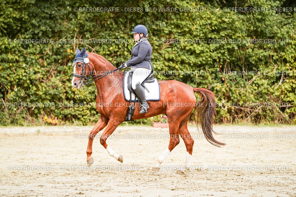 DSC03058 | Pferdegrafie