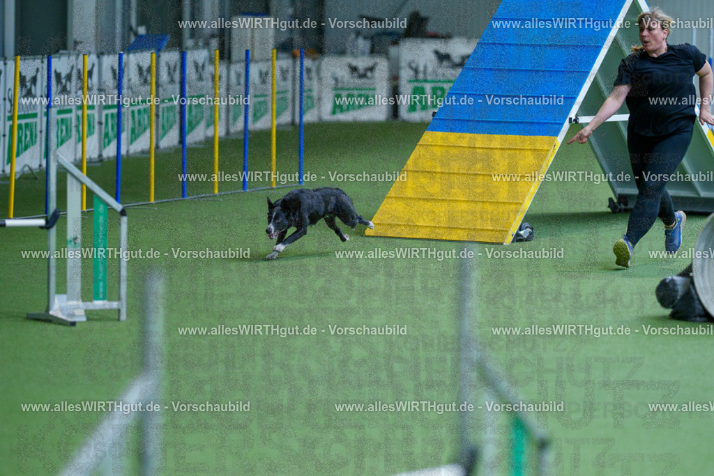 @allesWIRTHgut_Tierfotografie - www.allesWIRTHgut.de - 2604261510-7R504733 | Professionelle Tierfotografie in Mönchengladbach von Daniel Wirth (allesWIRTHgut). Liebevolle & natürliche Bilder von Hunden & Katzen für unvergessliche Erinnerungen.
