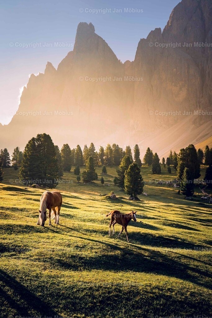 _DSC1515-Verbessert-RR | Leipzig Wandbilder Drucke Prints Leinwand Stadtmotive Leipzig Fotosdruck Kunstdrucke Bilder Leipzig Stadtansichten Acrylglasbilder Leipzig Wanddeko Fine Art Prints Wandbilder Büro Leipzig Bilder Praxis Zuhause Bilderdruck Poster Posterlounge Kunstdrucke - Realisiert mit Pictrs.com