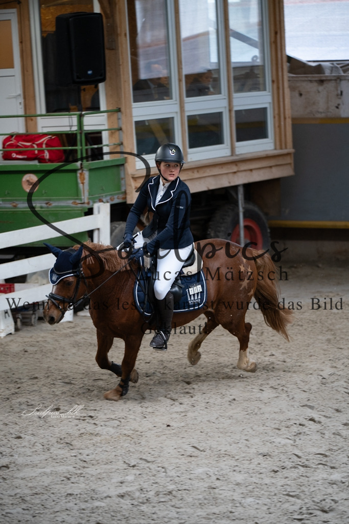 A7V01110 | Pferdefotograf