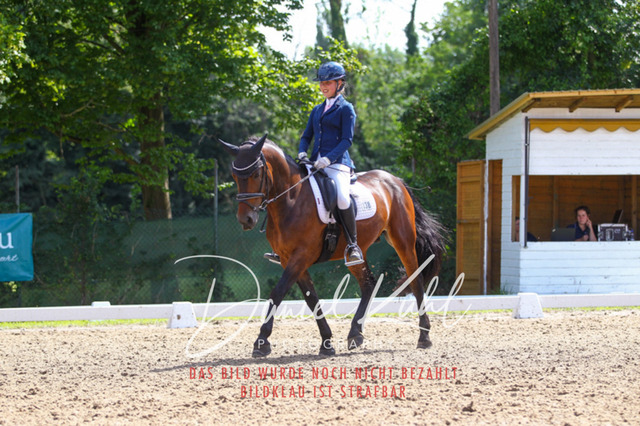 DKP42682 | Turniersportfotografie; Pferdefotografie; Dressurfotografie