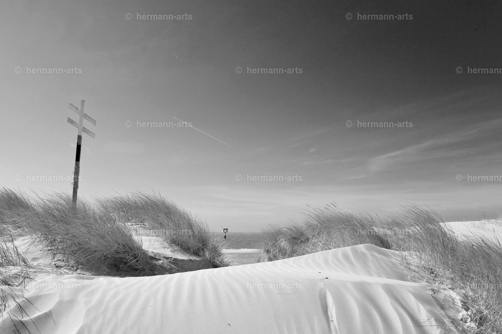 Hermann-Arts_Seaside_246 | Photo Foto Kunst Art schwarzweiss Bilder Rheine Münster Berlin Blumen 